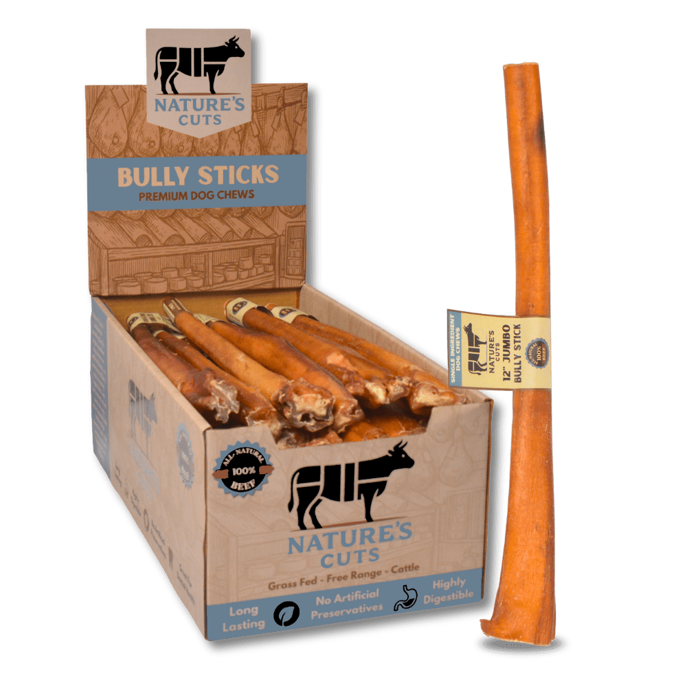 12" Jumbo Bully Sticks Display Box - The pet loft