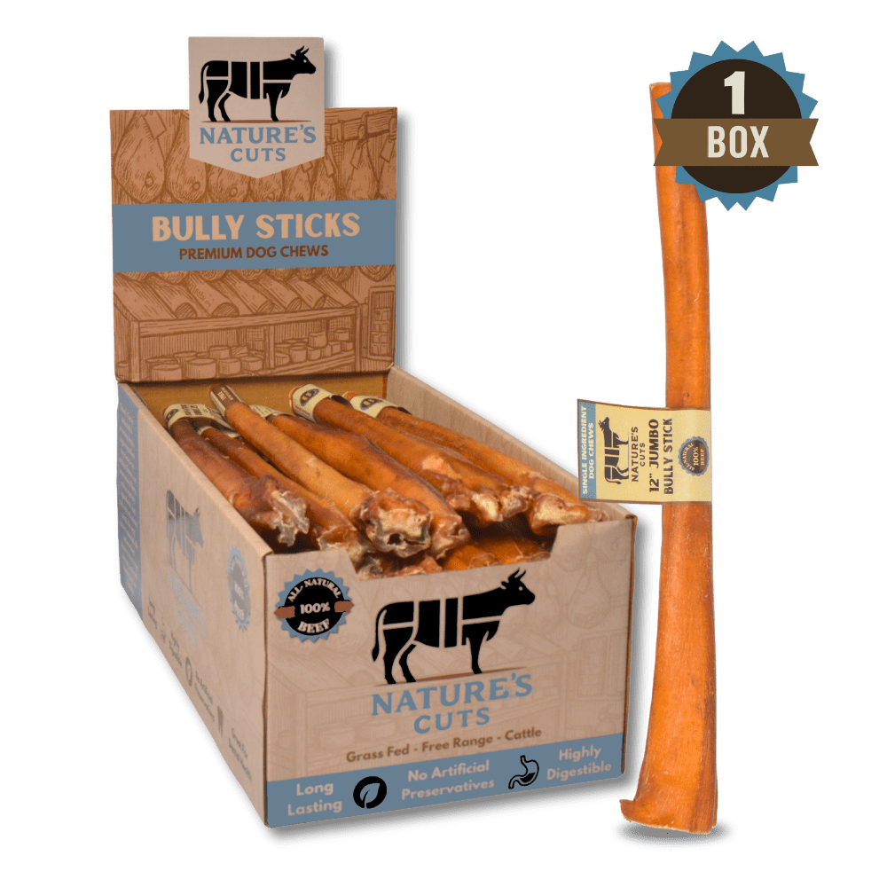 12" Jumbo Bully Sticks Display Box - The pet loft