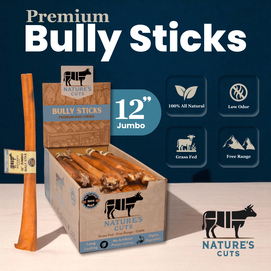 12" Jumbo Bully Sticks Display Box - The pet loft