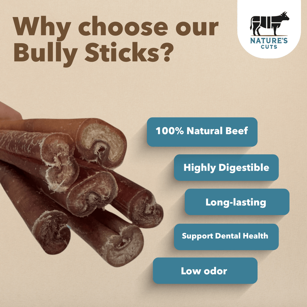 12" Jumbo Bully Sticks Display Box - The pet loft