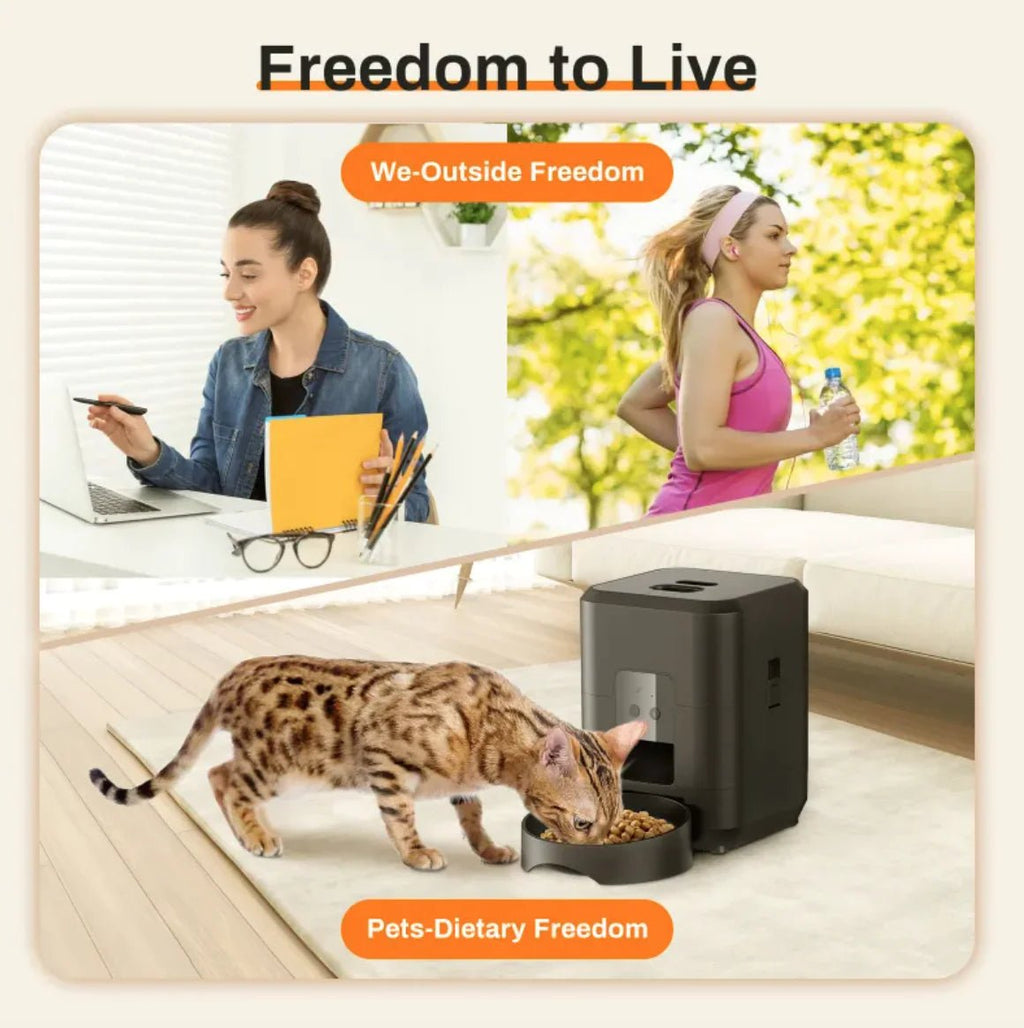 Automatic Pet Feeder - The pet loft