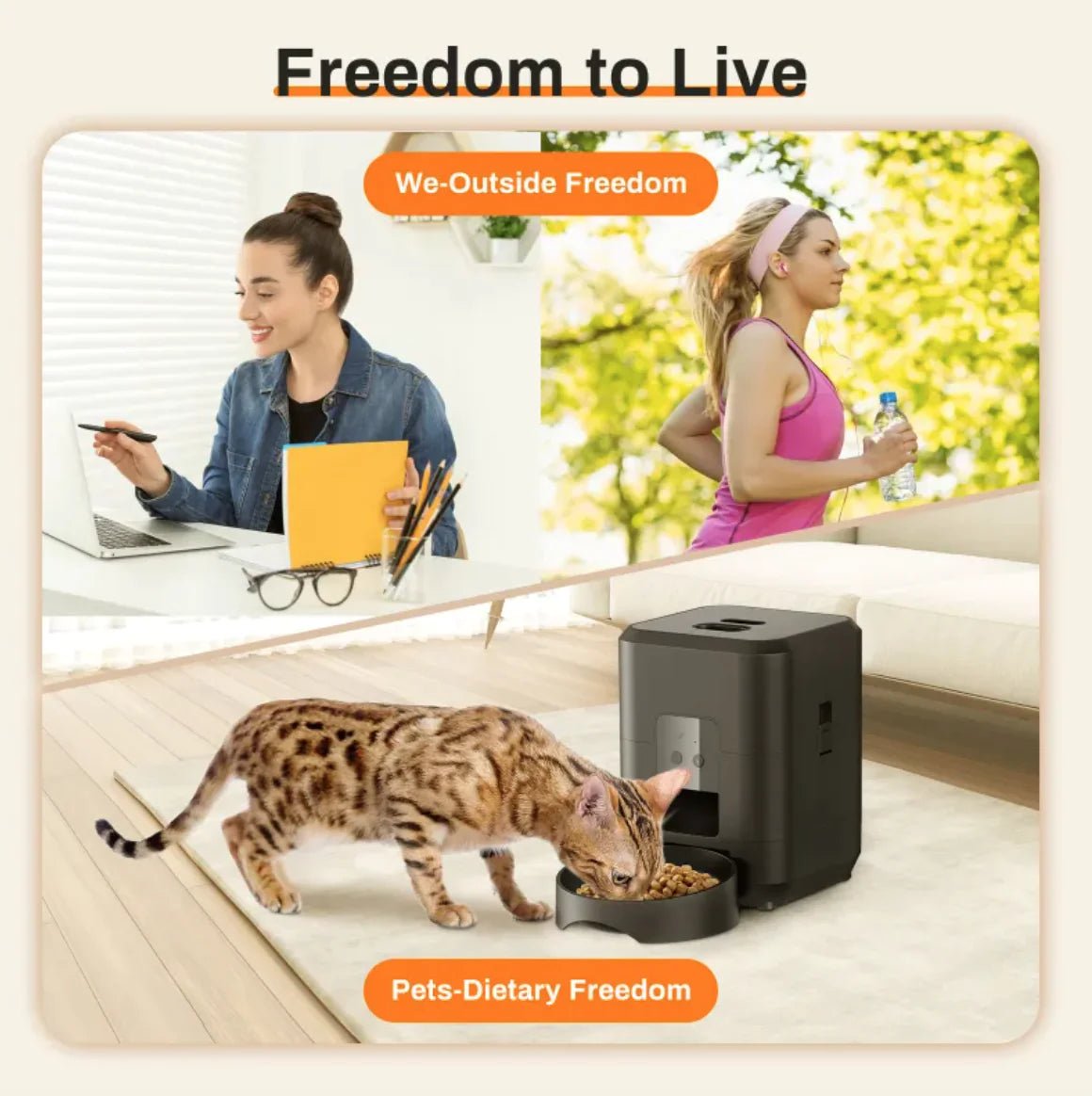 Automatic Pet Feeder - The pet loft