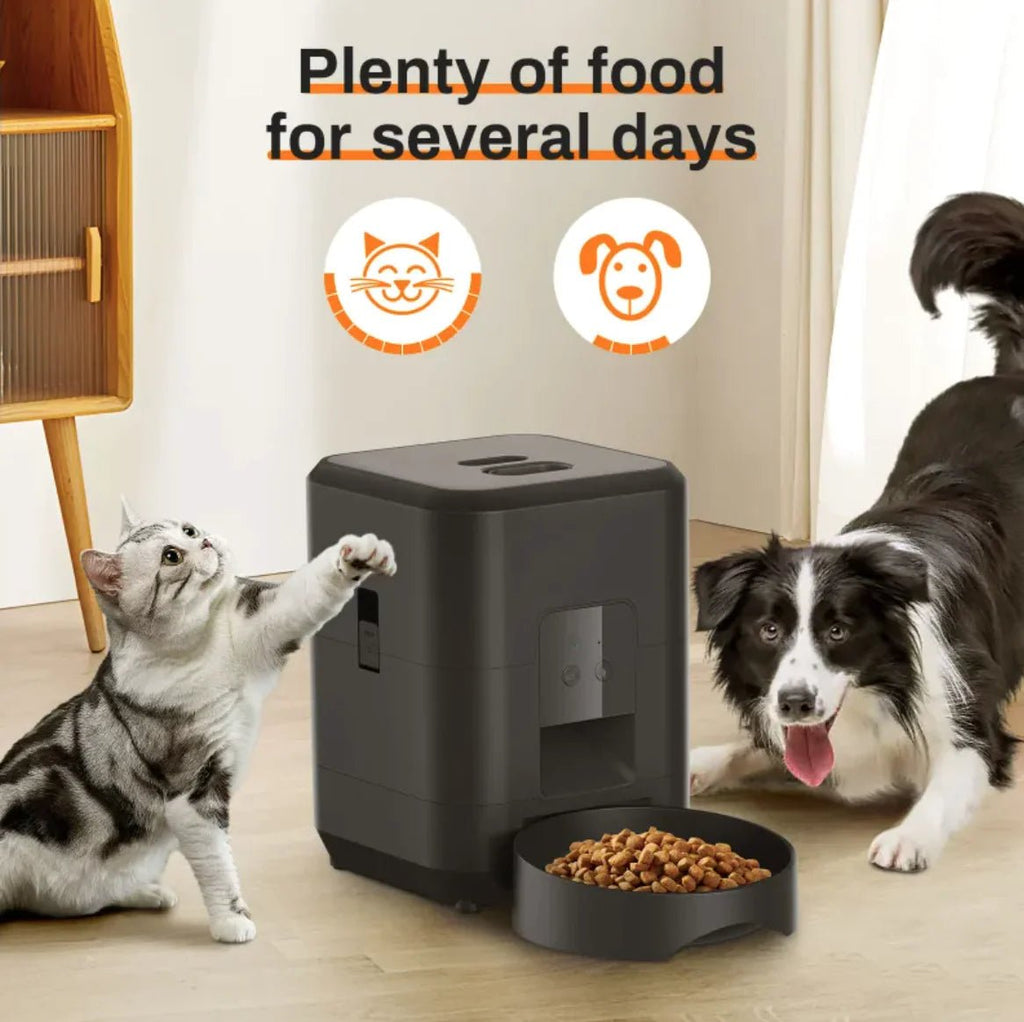 Automatic Pet Feeder - The pet loft