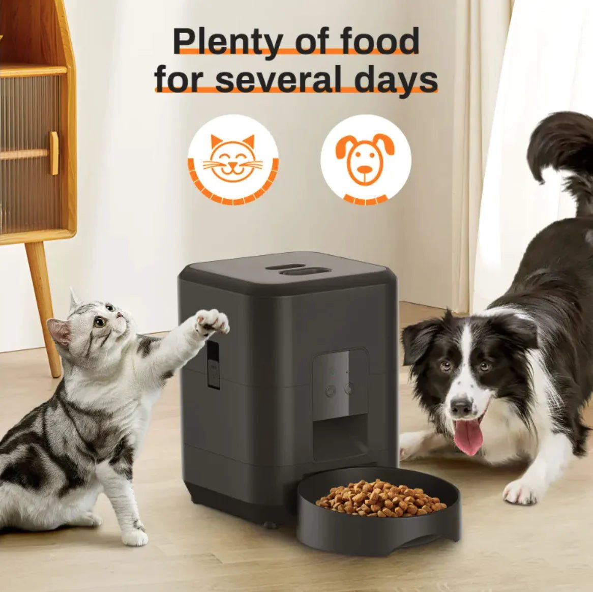 Automatic Pet Feeder - The pet loft