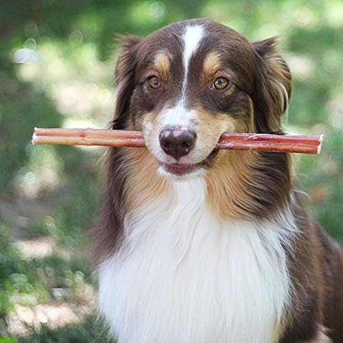 Brazilian Grass - Fed Beef Bully Sticks - The pet loft