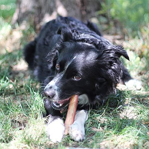 Brazilian Grass - Fed Beef Bully Sticks - The pet loft