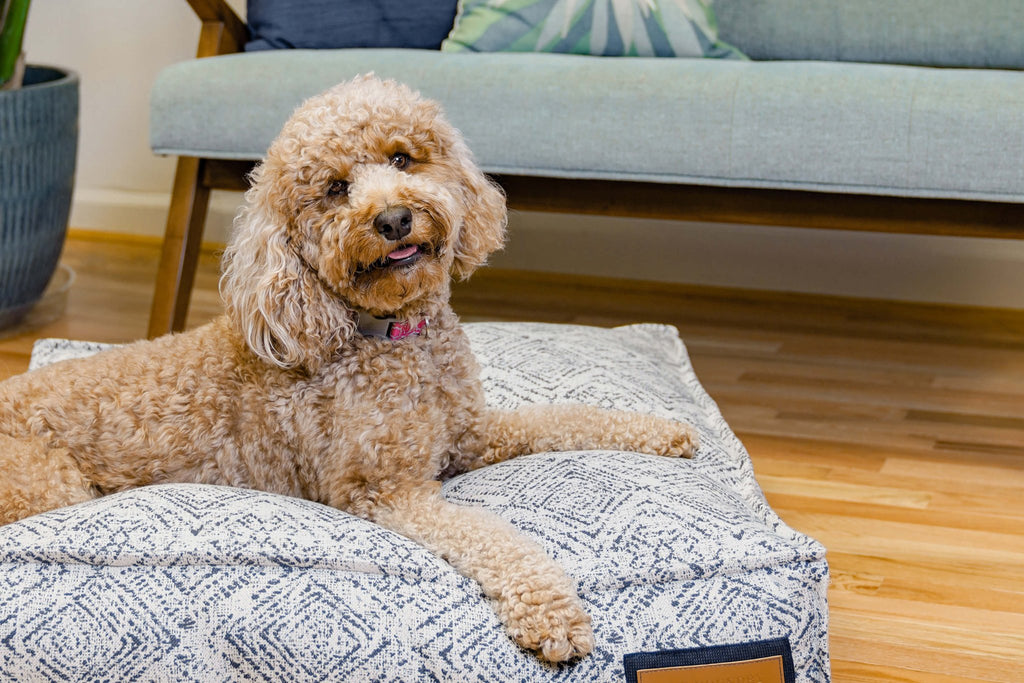Lounger Pet Bed in Sapphire Spaniel - The pet loft